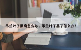 吊兰叶子黑腐怎么办，吊兰叶子黑了怎么办？