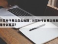 兰花叶子焦尖怎么处理，兰花叶子有焦尖现象是什么原因?