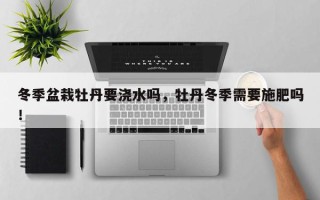 冬季盆栽牡丹要浇水吗，牡丹冬季需要施肥吗！