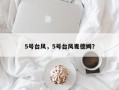 5号台风，5号台风麦德姆？