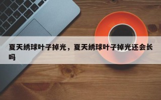 夏天绣球叶子掉光，夏天绣球叶子掉光还会长吗