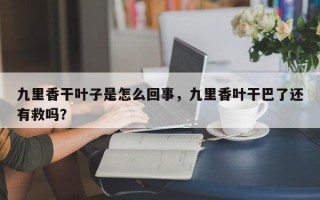 九里香干叶子是怎么回事，九里香叶干巴了还有救吗？
