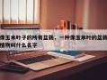像玉米叶子的所有盆栽，一种像玉米叶的盆栽植物叫什么名字