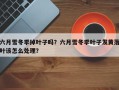 六月雪冬季掉叶子吗？六月雪冬季叶子发黄落叶该怎么处理？