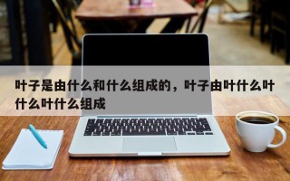 叶子是由什么和什么组成的，叶子由叶什么叶什么叶什么组成