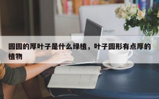 圆圆的厚叶子是什么绿植，叶子圆形有点厚的植物