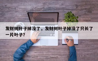 发财树叶子掉没了，发财树叶子掉没了只长了一片叶子？