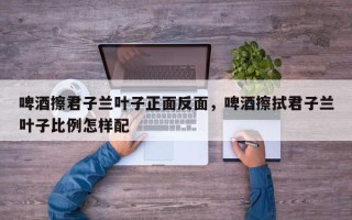 啤酒擦君子兰叶子正面反面，啤酒擦拭君子兰叶子比例怎样配