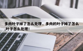 多肉叶子掉了怎么处理，多肉的叶子掉了怎么,叶子怎么处理！