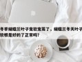 冬季蝴蝶兰叶子变软变蔫了，蝴蝶兰冬天叶子软根是好的了正常吗？