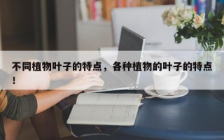 不同植物叶子的特点，各种植物的叶子的特点！