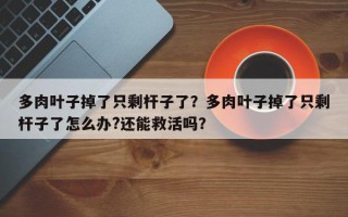 多肉叶子掉了只剩杆子了？多肉叶子掉了只剩杆子了怎么办?还能救活吗？