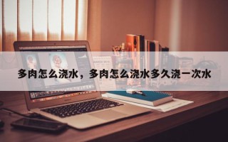 多肉怎么浇水，多肉怎么浇水多久浇一次水