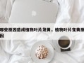 哪些原因造成植物叶片发黄，植物叶片变黄原因