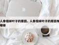 人参榕掉叶子的原因，人参榕掉叶子的原因有哪些