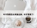叶子发蔫怎么恢复过来，叶子发蔫了！