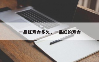 一品红寿命多久，一品红的寿命