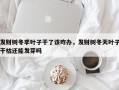 发财树冬季叶子干了该咋办，发财树冬天叶子干枯还能发芽吗
