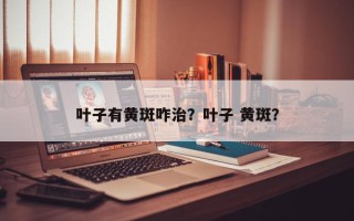 叶子有黄斑咋治？叶子 黄斑？