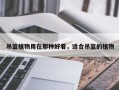 吊篮植物用在那种好看，适合吊篮的植物