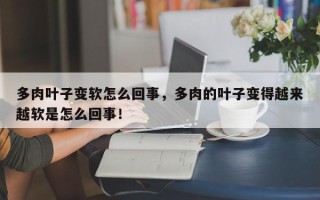 多肉叶子变软怎么回事，多肉的叶子变得越来越软是怎么回事！