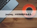 joeyang，JOE羊绒是什么档次