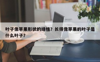 叶子像苹果形状的绿植？长得像苹果的叶子是什么叶子？