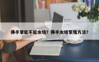 佛手掌能不能水培？佛手水培繁殖方法？