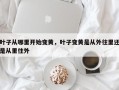 叶子从哪里开始变黄，叶子变黄是从外往里还是从里往外