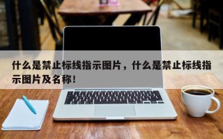 什么是禁止标线指示图片，什么是禁止标线指示图片及名称！