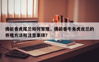 佛前香虎尾兰如何繁殖，佛前香牛角虎皮兰的养殖方法和注意事项？