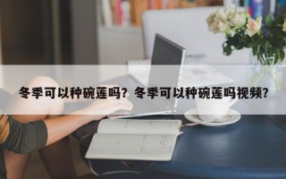 冬季可以种碗莲吗？冬季可以种碗莲吗视频？