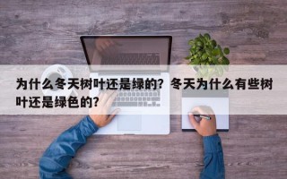 为什么冬天树叶还是绿的？冬天为什么有些树叶还是绿色的？