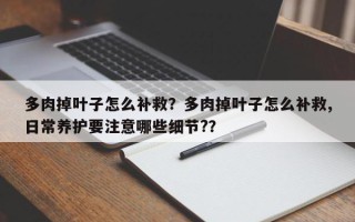 多肉掉叶子怎么补救？多肉掉叶子怎么补救,日常养护要注意哪些细节?？