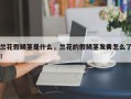 兰花假鳞茎是什么，兰花的假鳞茎发黄怎么了！