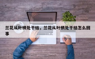 兰花从叶柄处干枯，兰花从叶柄处干枯怎么回事