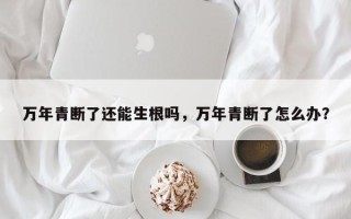 万年青断了还能生根吗，万年青断了怎么办？
