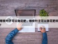 哪些叶子可以做花肥，哪些叶子可以做花肥料？