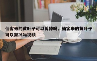 仙客来的黄叶子可以剪掉吗，仙客来的黄叶子可以剪掉吗视频