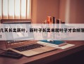 几天长出新叶，新叶子长出来就叶子才会掉落！