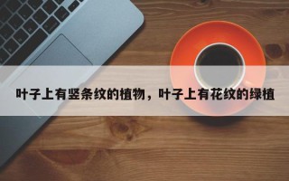 叶子上有竖条纹的植物，叶子上有花纹的绿植