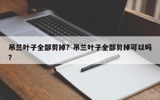 吊兰叶子全部剪掉？吊兰叶子全部剪掉可以吗？