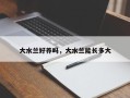 大水兰好养吗，大水兰能长多大