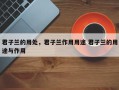 君子兰的用处，君子兰作用用途 君子兰的用途与作用