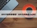 大叶子的树有哪些？大叶子的树是什么树？