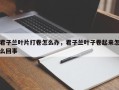 君子兰叶片打卷怎么办，君子兰叶子卷起来怎么回事