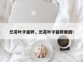 兰花叶子旋转，兰花叶子旋转原因！