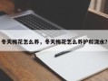 冬天梅花怎么养，冬天梅花怎么养护和浇水？