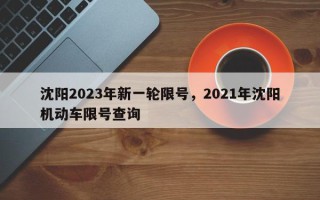 沈阳2023年新一轮限号，2021年沈阳机动车限号查询