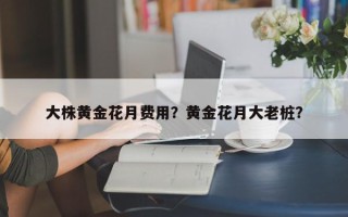 大株黄金花月费用？黄金花月大老桩？